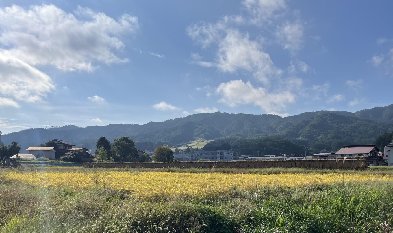 食事の質と量について～増田庸文のブログより9～